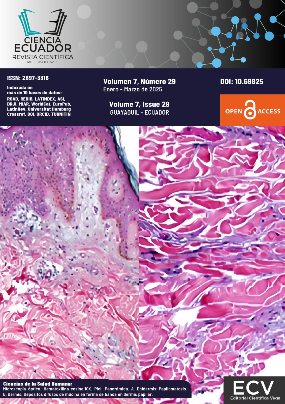 					Ver Vol. 7 Núm. 29 (2025): El año de las ciencias y las tecnologías cuánticas en todas sus aplicaciones
				